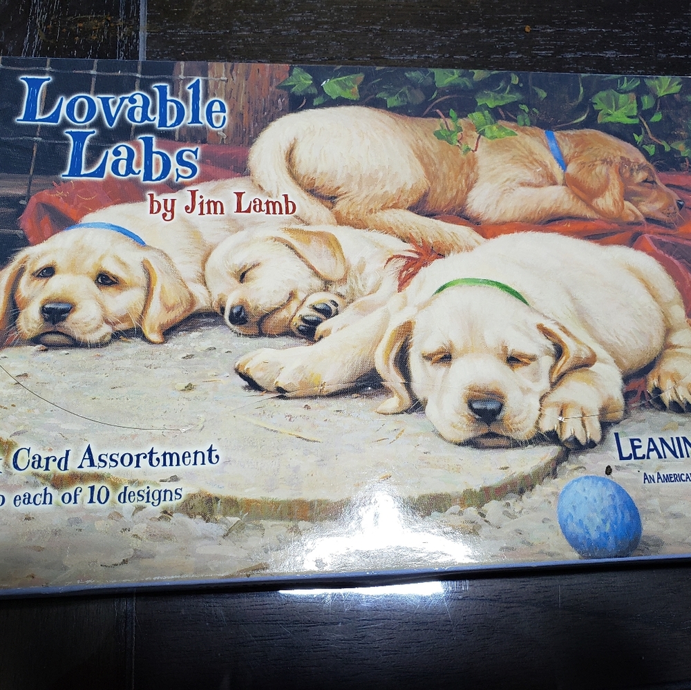 Box of  20 Leaning Tree Cards. From the early 2000's